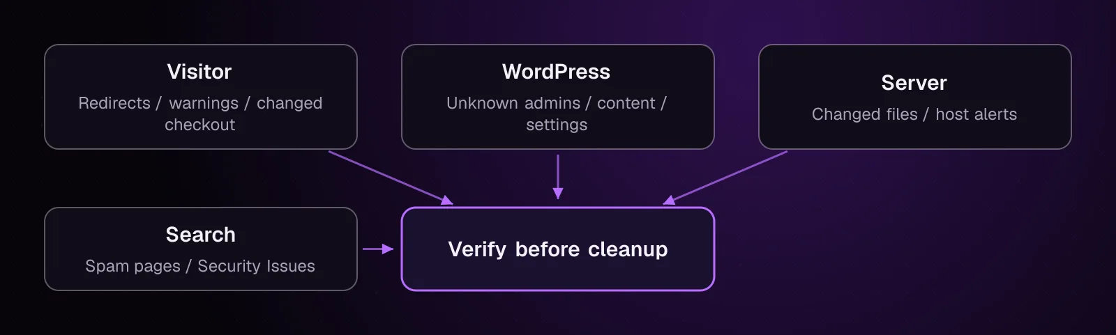 Warning signs grouped into visitor, WordPress, server and search signals leading to verification checks