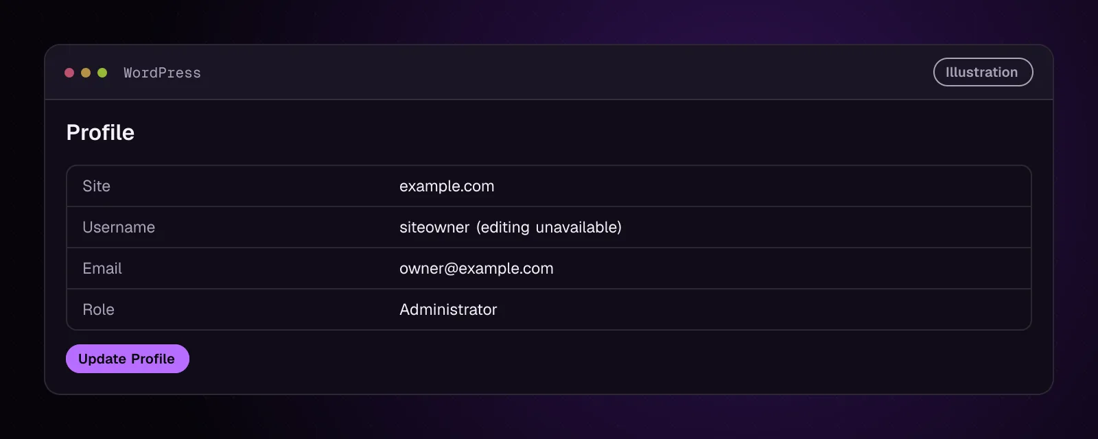 Illustrative example.com profile showing siteowner with owner@example.com as the recovered account email