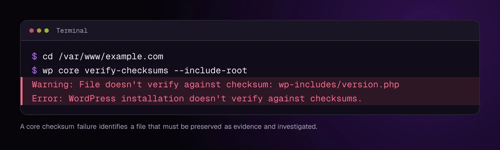 WP-CLI checksum check for example.com reporting one changed WordPress core file
