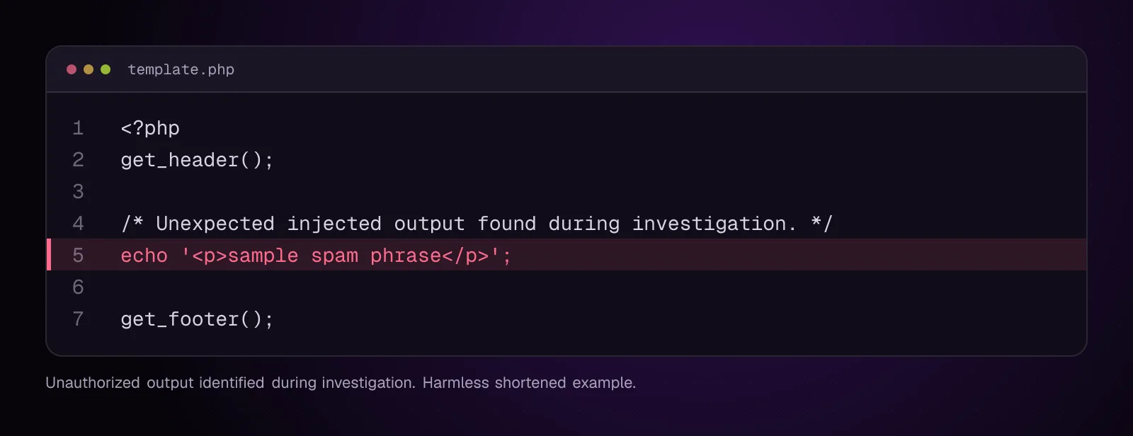 Shortened WordPress template excerpt with an unauthorized output line marked