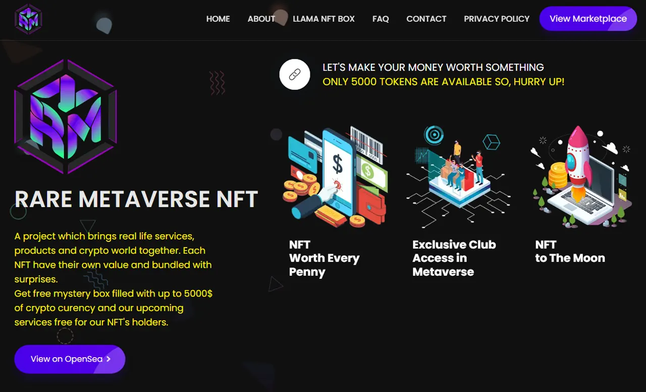 Homepage of Rare Metaverse NFT